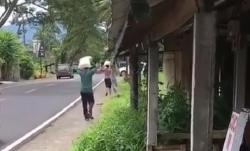 Viral Penerima Beras Miskin di Bali Naik Terios, Netizen: Malu Dong!<