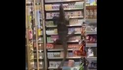 Viral Biawak Besar Panjat Rak Minimarket, Pengunjung Bubar