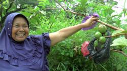 Kisah Wanita Tinggal Sendirian di Jalur Maut dan Angker Perbatasan Rembang-Blora