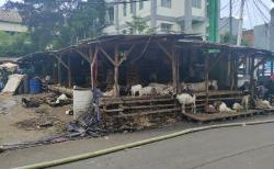 Kebakaran Usai, Sebagian Pedagang Pasar Kambing Tanah Abang Kembali Berjualan