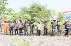 Panen Sayuran dan Ketela Pohon, TNI AL Berhasil Wujudkan Program Ketahanan Pangan