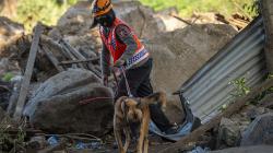 Pencarian Korban Tanah Longsor Lembata NTT Terus Berlanjut<