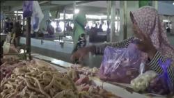 Harga Daging Ayam Melambung, Warga Beralih Beli Jeroan dan Cakar 