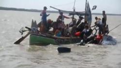 Heboh, Paus Raksasa 15 Meter Terdampar di Pantai Bungko Cirebon
