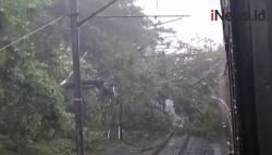 Video KRL Rute Pondok Ranji-Kebayoran Lama Tertimpa Pohon Tumbang