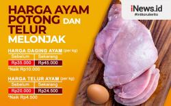 Infografis Harga Ayam dan Telur di Tegal Naik