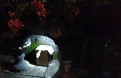 Kelabui Polisi, Pedagang Simpan Miras di Belakang Rumah Ditutupi Pot Bunga