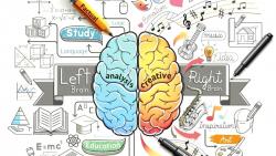 Perbedaan Fungsi Otak Kiri dan Kanan 