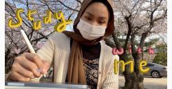 Jadi Mahasiswa Korea, Asyik Belajar sambil Menikmati Keindahan Bunga Sakura