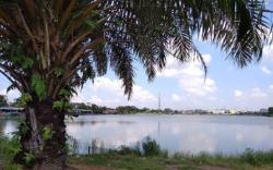 Pemprov Sumsel Siapkan Rp20 Miliar Untuk Danau OPI, Intip Rencananya<