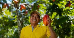 Mete Sumba dan Cokelat Bali Miliki Kualitas Terbaik, Ternyata seperti Ini Panennya