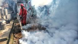 20 Kasus DBD di Ambon sejak Januari hingga April 2021, Masyarakat Diminta Jaga Kebersihan 