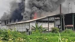 Pabrik Tepung di Mojokerto Terbakar Hebat, Polisi Masih Selidiki Penyebabnya 