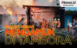 Infografis Si Jago Merah Mengamuk di Tambora