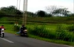 Video Viral Joki Balap Liar Terperosok ke Sawah