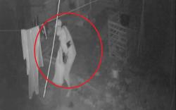 Maling Ayam Bangkok Terekam CCTV, Pemilik Rugi Rp20 Juta
