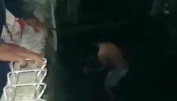 Sempat Dikira Suara Kucing, Warga Cianjur Temukan Bayi Baru Lahir Menangis di Sungai<