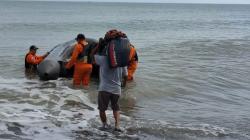 Seorang Nelayan di Bolaang Mongondow  Utara Hilang Diterjang Ombak