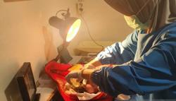 Polisi Buru Pembuang Bayi Perempuan di Sungai Cikukulu Cianjur<