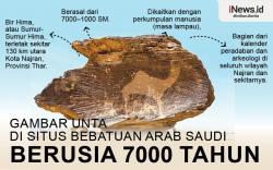 Infografis Gambar Unta di Situs Arkeologi Berusia 7000 Tahun di Arab Saudi