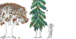 Google Rayakan Hari Bumi lewat Doodle