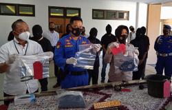 Video Membunuh Penyu Viral, 7 Nelayan Gunungkidul Ditangkap Polisi 