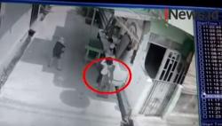 Video Monyet Serang dan Lukai Anak di Rawa Belong Jakarta