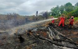 BMKG Sebut Wilayah Sumsel Merah Mudah Terbakar<