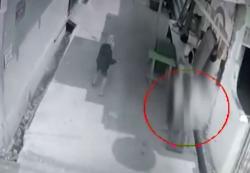 Video Viral Monyet Peliharaan Serang Bocah di Palmerah