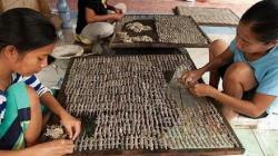 Pria dari Keluarga Miskin Ini Jadi Jutawan Berkat Bisnis Cicak