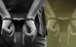 2 Anak-Anak di Palembang Ditangkap karena Mencuri Burung <