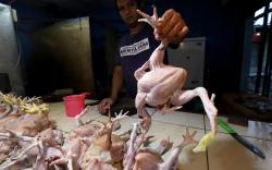 Kenaikan Harga Daging Ayam Picu Inflasi April 2021 