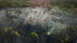 Kebakaran Hutan dan Lahan Seluas 5 Hektare di Palangkaraya Berhasil Dipadamkan<