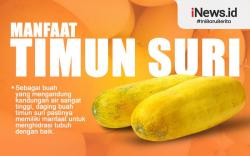 Infografis Manfaat Timun Suri