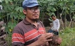 Modal Iseng dan Nekat, Petani Porang Hasilkan Ratusan Juta Rupiah