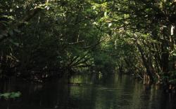 Misteri Hutan di Kutai Kartanagera, Pengunjung Bawa Cermin Agar Tak Disesatkan Mahluk Gaib