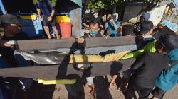 Terlalu, Lucinta Luna Tunggangi Lumba-Lumba Hidung Botol saat Liburan di Bali