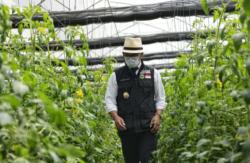 Pulihkan Ekonomi Lewat Pariwisata, Ridwan Kamil Luncurkan Agrowisata Cianjur<
