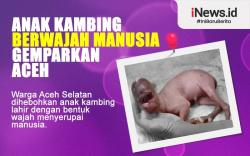 Infografis Anak Kambing Berwajah Mirip Manusia Gemparkan Warga Aceh