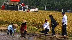 Panen Raya di Malang, Jokowi dan Puan Maharani Berdialog dengan Petani
