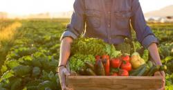 Konsumsi Sayuran hingga Suplemen saat Sahur Perkuat Imunitas Tubuh   