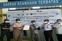 Pertama dalam Sejarah, Sultra Ekspor Ikan Hias ke Brunei Darussalam 