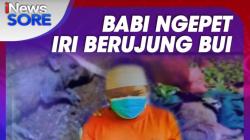 Babi Ngepet, dari Iri Berujung Bui! Selengkapnya di iNews Sore Kamis Pukul 16.30 WIB