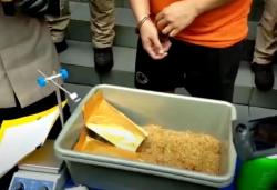 Video Polisi Bongkar Industri Rumahan Tembakau Sintetis di Bogor