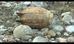 Hendak Mandi, Warga Kendal Ini Temukan Granat Nanas di Pinggir Sungai