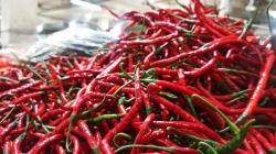 Harga Cabai Merah di Pasar Ambon Tembus Rp100.000 per Kg