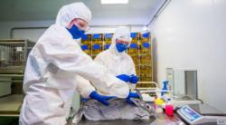 Pertama di Dunia, Rusia Mulai Produksi Vaksin Covid-19 untuk Hewan