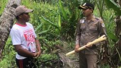 Harga Serat Abaka Murah, Petani di Talaud Pilih Kembangkan Kopra