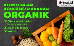 Infografis Manfaat Mengonsumsi Makanan Organik