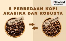 Infografis Beda Kopi Robusta dan Arabika